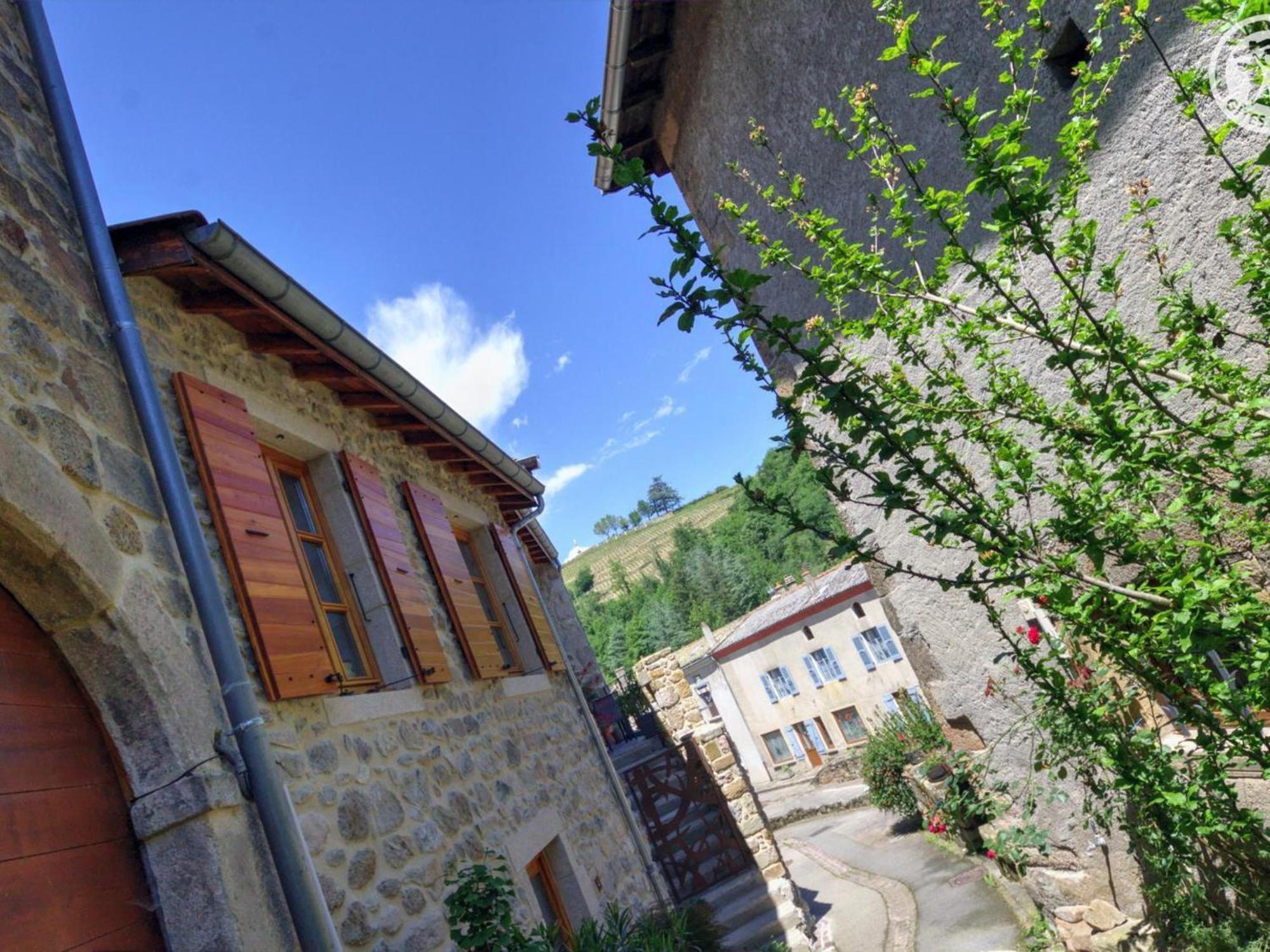 Gite De Charme Avec 2 Terrasses, Au Coeur Du Parc Du Pilat, Confortable Et Equipe - Fr-1-496-40 Malleval Eksteriør billede