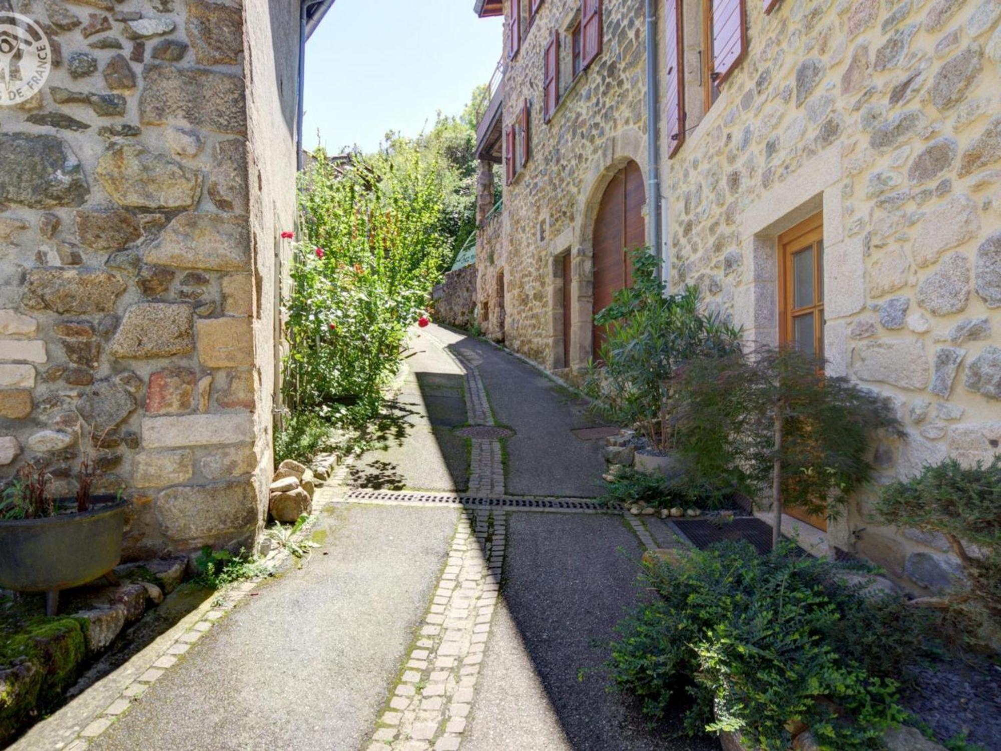 Gite De Charme Avec 2 Terrasses, Au Coeur Du Parc Du Pilat, Confortable Et Equipe - Fr-1-496-40 Malleval Eksteriør billede